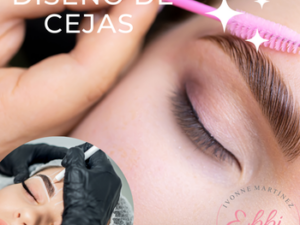 Curso de diseño de cejas en henna